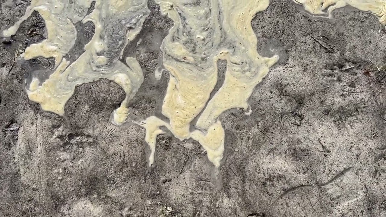 The purpose of spiritual life